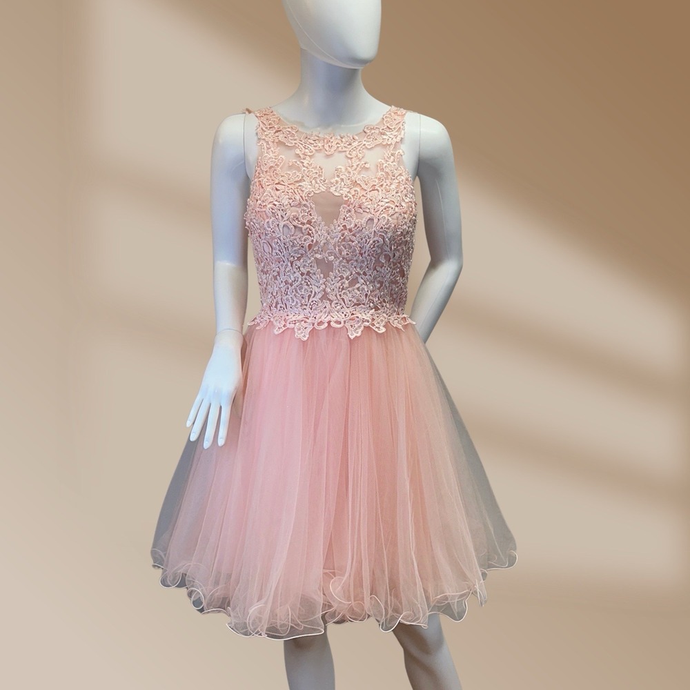 Dioa Fashions Ladies Pink Sz S/M Embroidered Lace Overlay Layered Tulle Skirt